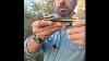 Rare Collectible Buck Model 110 Golden Eagle Knife Withdisplay Case #44 Of 250 Coa
